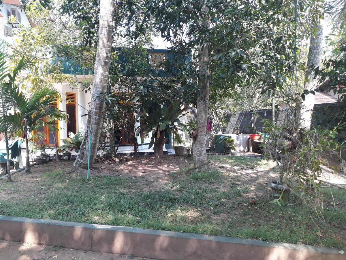 אלותגאמה Guesthouse Sunshine מראה חיצוני תמונה
